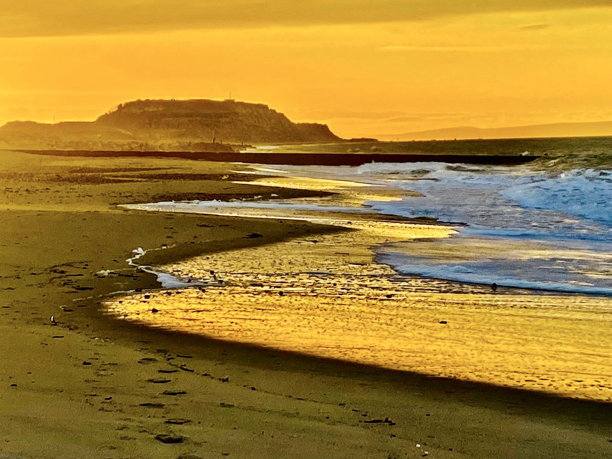 Cindy (Spence) Vallance (she/her) tweet media