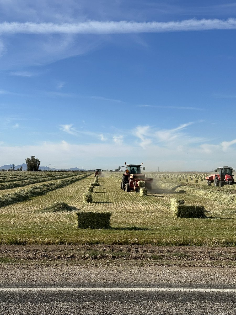 h2oexecutive's tweet photo. Blythe, California- most senior water rights holder on COR…(not the same level of photog as @JohnBoelts ) but, I still love farms. #cor #cawater #partnerships #PVID #outlookconference https://t.co/PTCx50JJn9