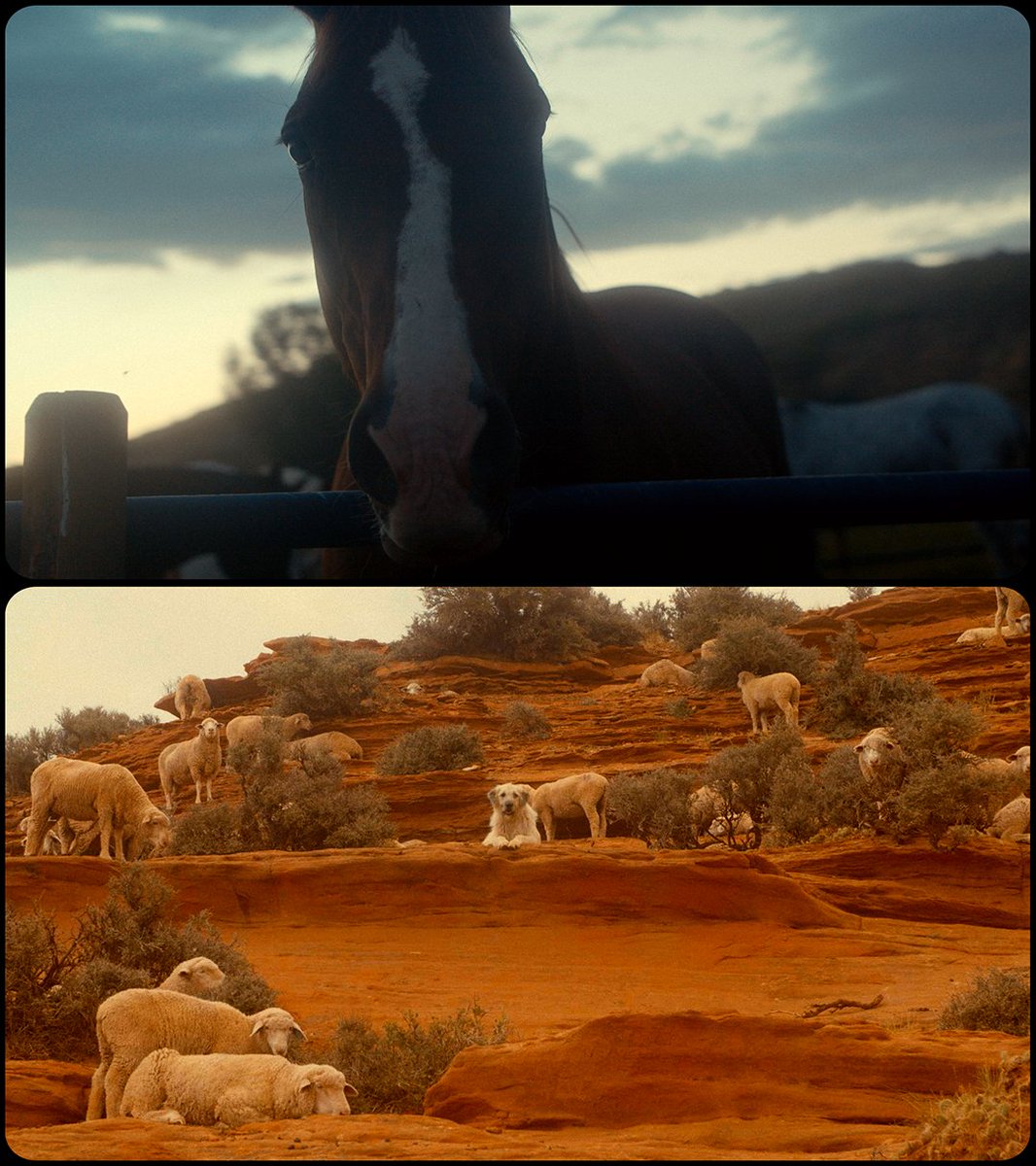 take7production's tweet image. Director @kyle.kadow spent two weeks with his dog and a camera on the road in Wyoming to craft an  homage to that place. 

#shortdoc  #travelvideo #creative #blackmagic #ursa  #wyoming #filmmaking #video #director #cinematography #cinematic  #traveling #roadtrip