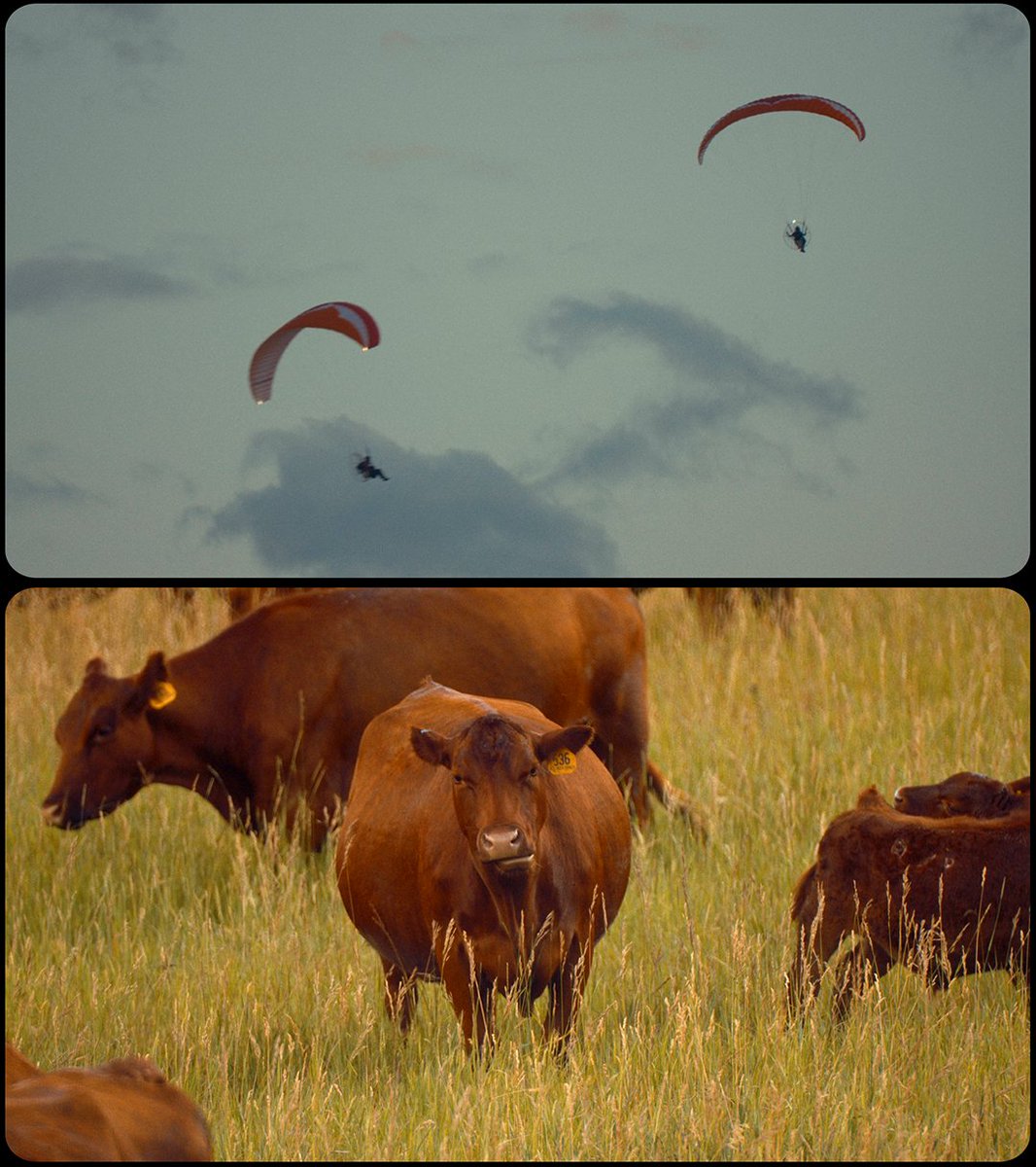 take7production's tweet image. Director @kyle.kadow spent two weeks with his dog and a camera on the road in Wyoming to craft an  homage to that place. 

#shortdoc  #travelvideo #creative #blackmagic #ursa  #wyoming #filmmaking #video #director #cinematography #cinematic  #traveling #roadtrip