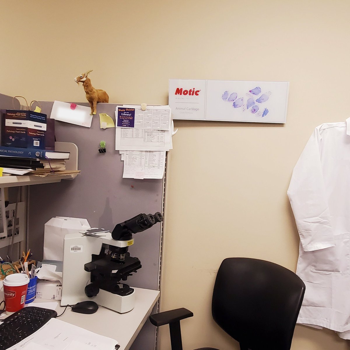 Congratulations to the lucky winners of our slide art raffle! 🎉

Our winners were ecstatic about receiving their one-of-a-kind slide art pieces. One of our winners even shared a photo of their new artwork displayed proudly in their office! 

#wsi #digitalpathology #pathology