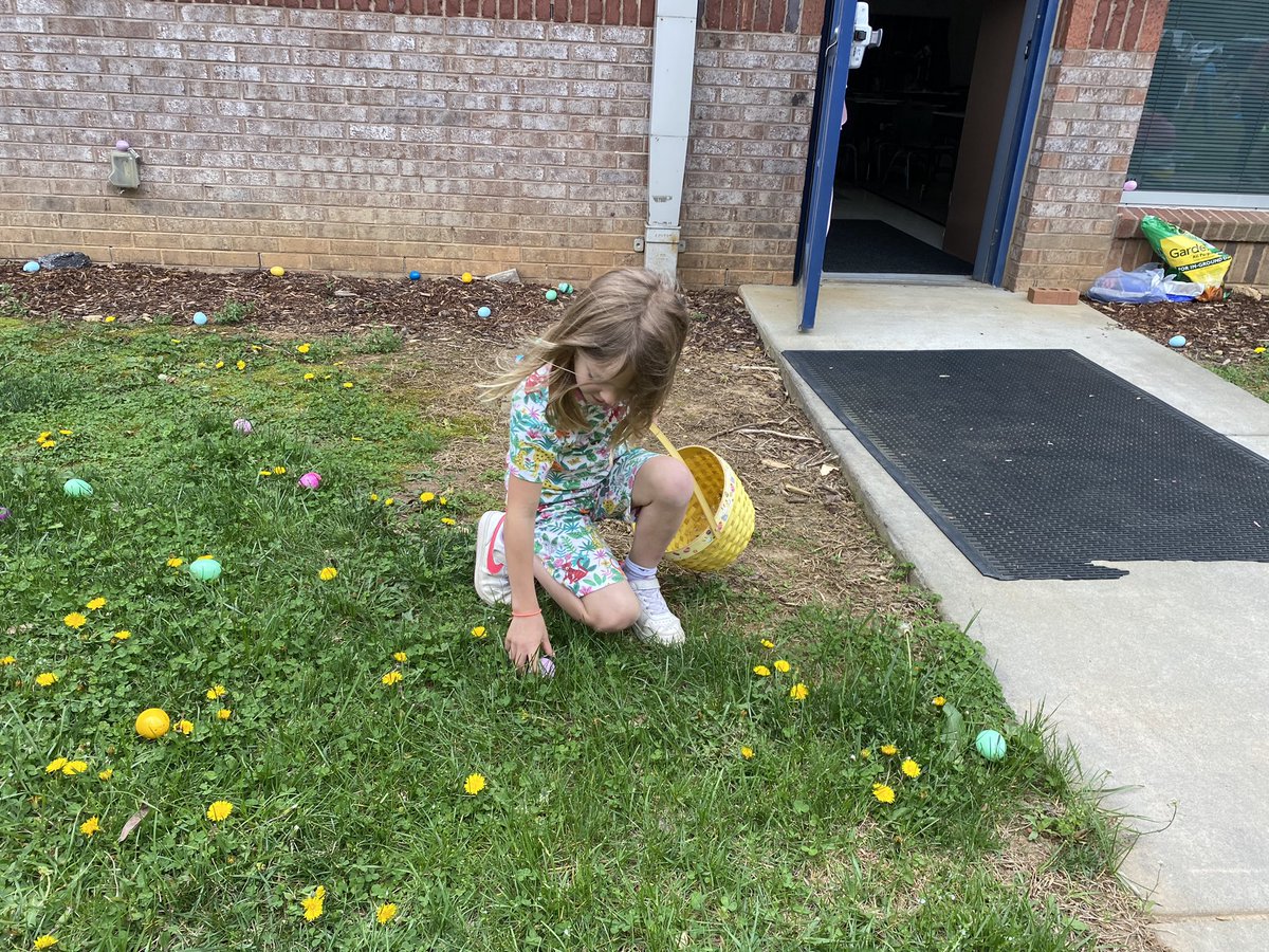 mrspruittfirst's tweet image. Hoppy Easter! 🐰 @MillsRiverSch #heretofly