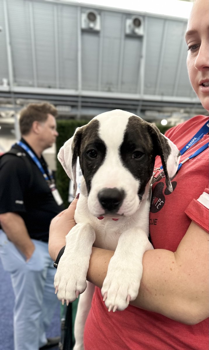 EdSights tweet media