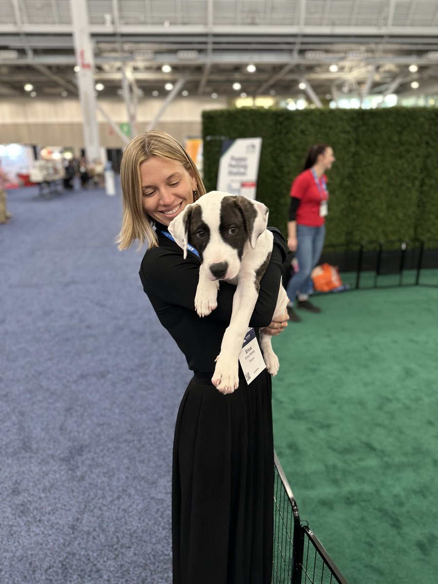 EdSights (@edsights_ai) on Twitter photo When the leaders in #highered weren’t discussing student success, they were supporting the #dogsofNASPA!
<a href="/lasthopek9/">Last Hope K9 Rescue</a> brought lots of puppy love (and cuddles) with a mission to find homes for these puppies who attended #naspa23.
They succeeded!🐾
#RescueDog #StudentAffairs When the leaders in #highered weren’t discussing student success, they were supporting the #dogsofNASPA!
<a href="/lasthopek9/">Last Hope K9 Rescue</a> brought lots of puppy love (and cuddles) with a mission to find homes for these puppies who attended #naspa23.
They succeeded!🐾
#RescueDog #StudentAffairs