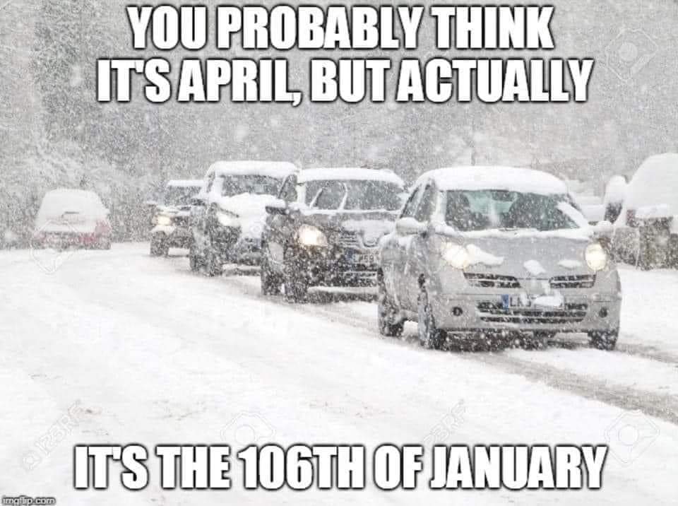 Hillary 🦄 (@hgahillary) on Twitter photo 