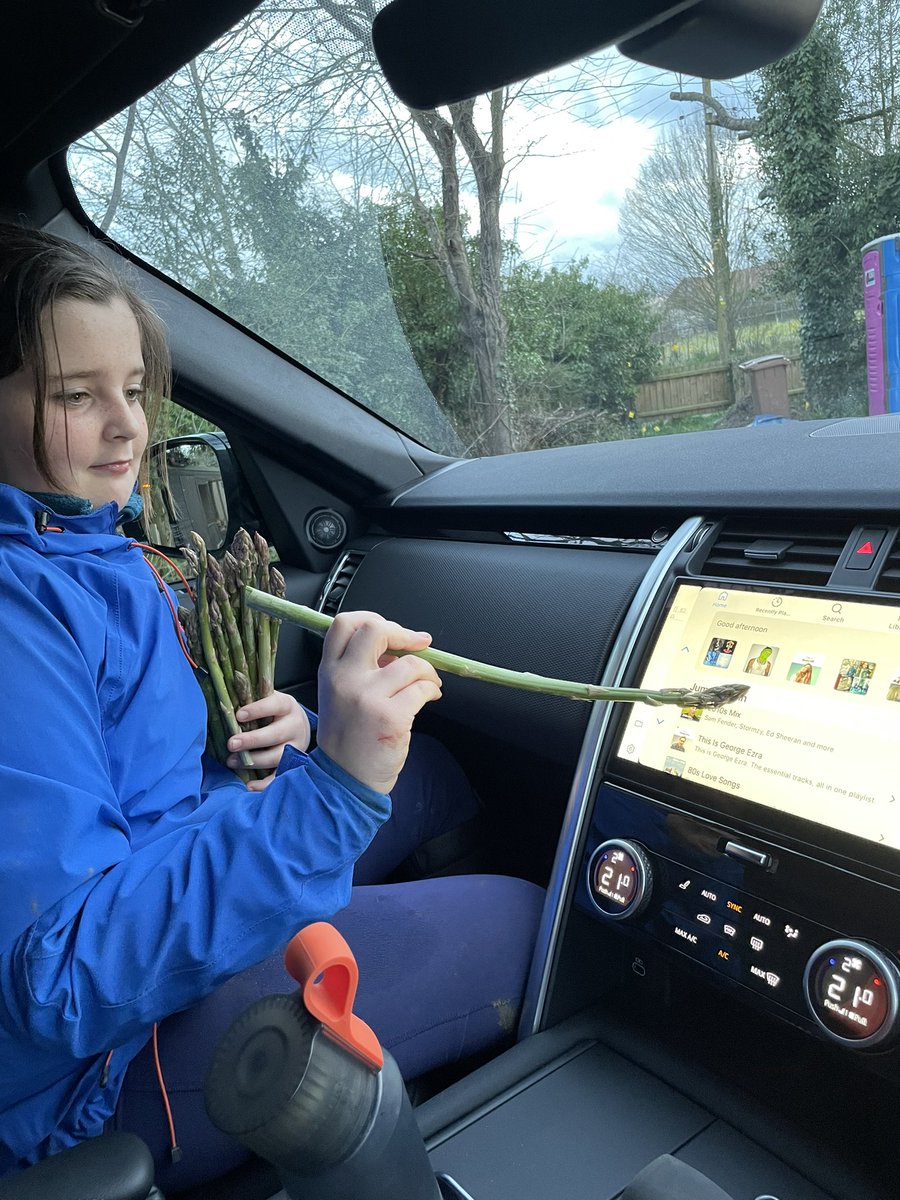 WantisdenHallFa's tweet photo. Not quite what I had in mind for the asparagus!! Worked a treat though 😂 #asparagus #touchscreenpen #newseason #suffolk https://t.co/GOz9SCV96V