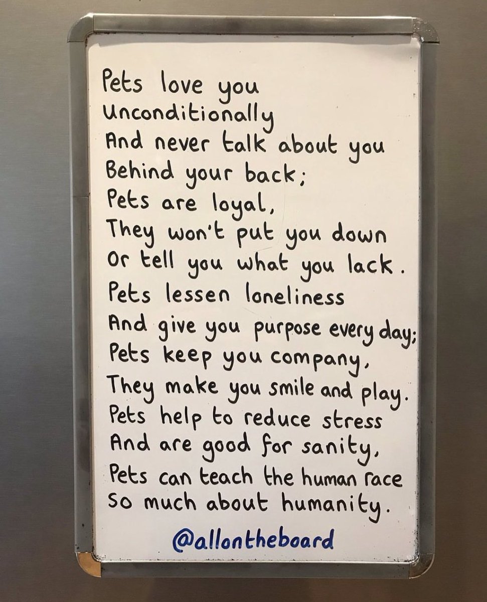goodgrieftrust's tweet photo. Thankyou @allontheboard for acknowledging the importance of our pets. 

We know when we lose a much loved family dog, cat or any animal, we can feel genuine pain and sadness and it can  be devastating. 🧡🐾🐈 https://t.co/KpkNpoe5XQ