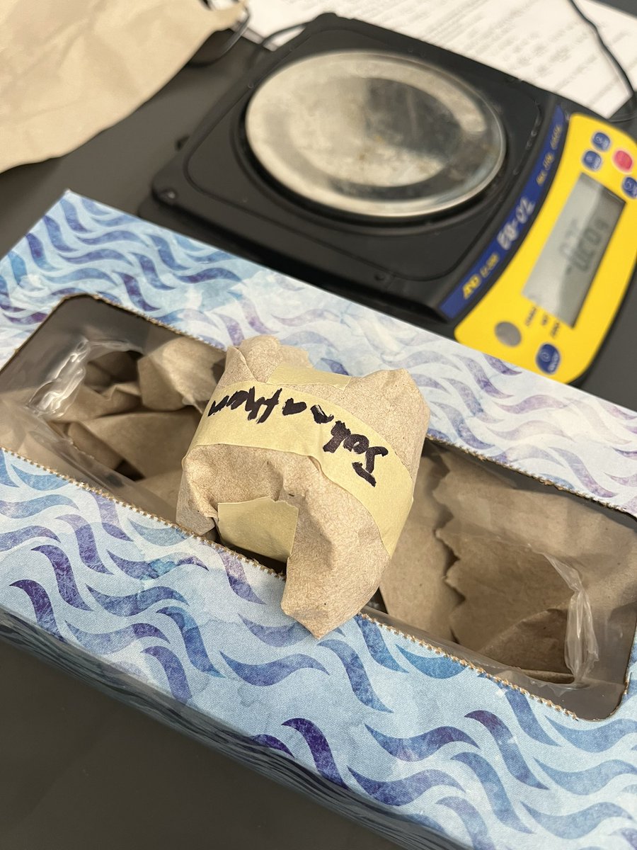 ToombsETeaches's tweet photo. Egg drop mole challenge. #Chemistry 11 students design and carry out an air bag design to save the life of their Easter egg.@NVSD44 @HandsworthHSS https://t.co/xE6DZjH13V