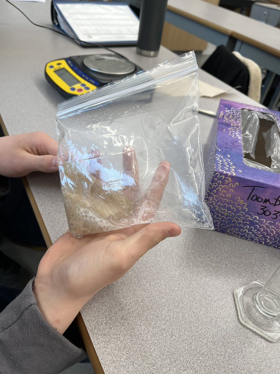 ToombsETeaches's tweet photo. Egg drop mole challenge. #Chemistry 11 students design and carry out an air bag design to save the life of their Easter egg.@NVSD44 @HandsworthHSS https://t.co/xE6DZjH13V