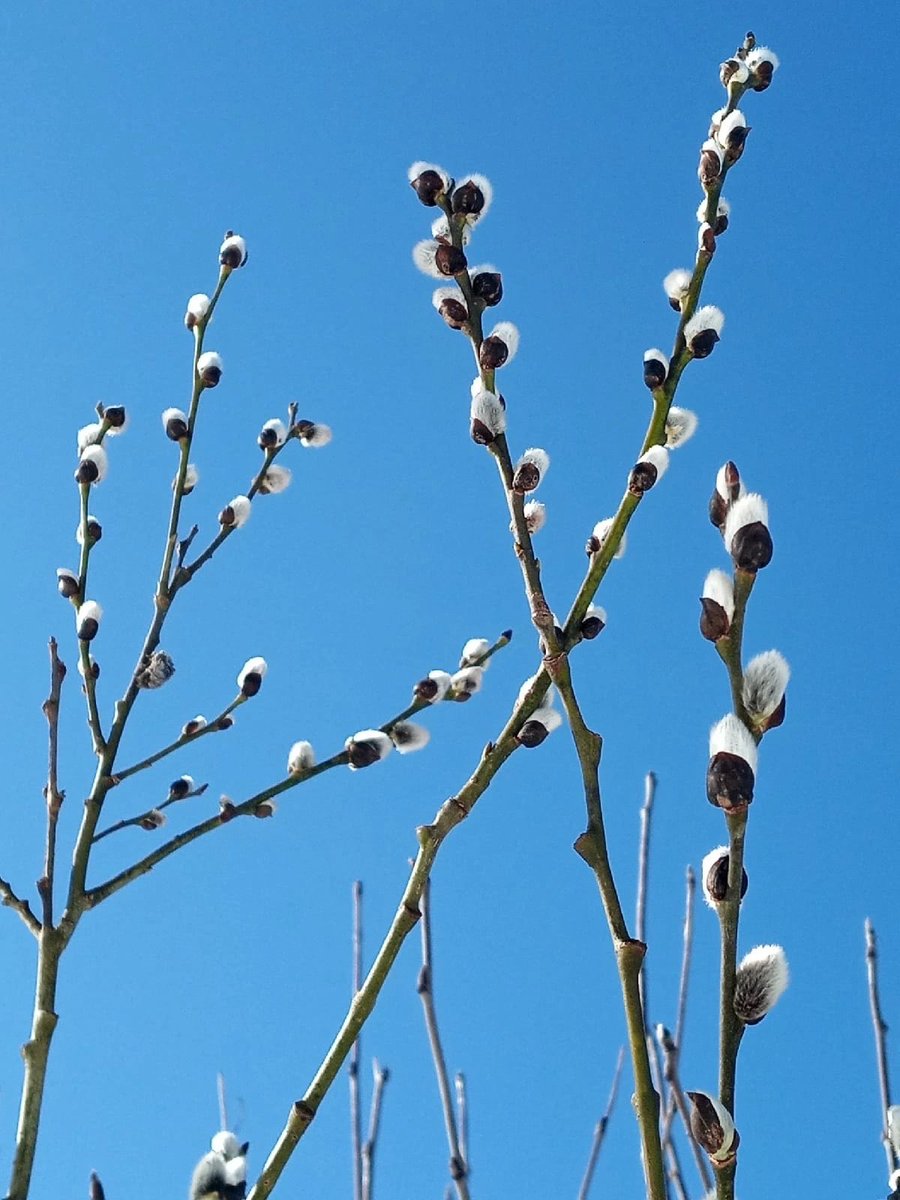 Irina Sokolova (@irina76706901) on Twitter photo 