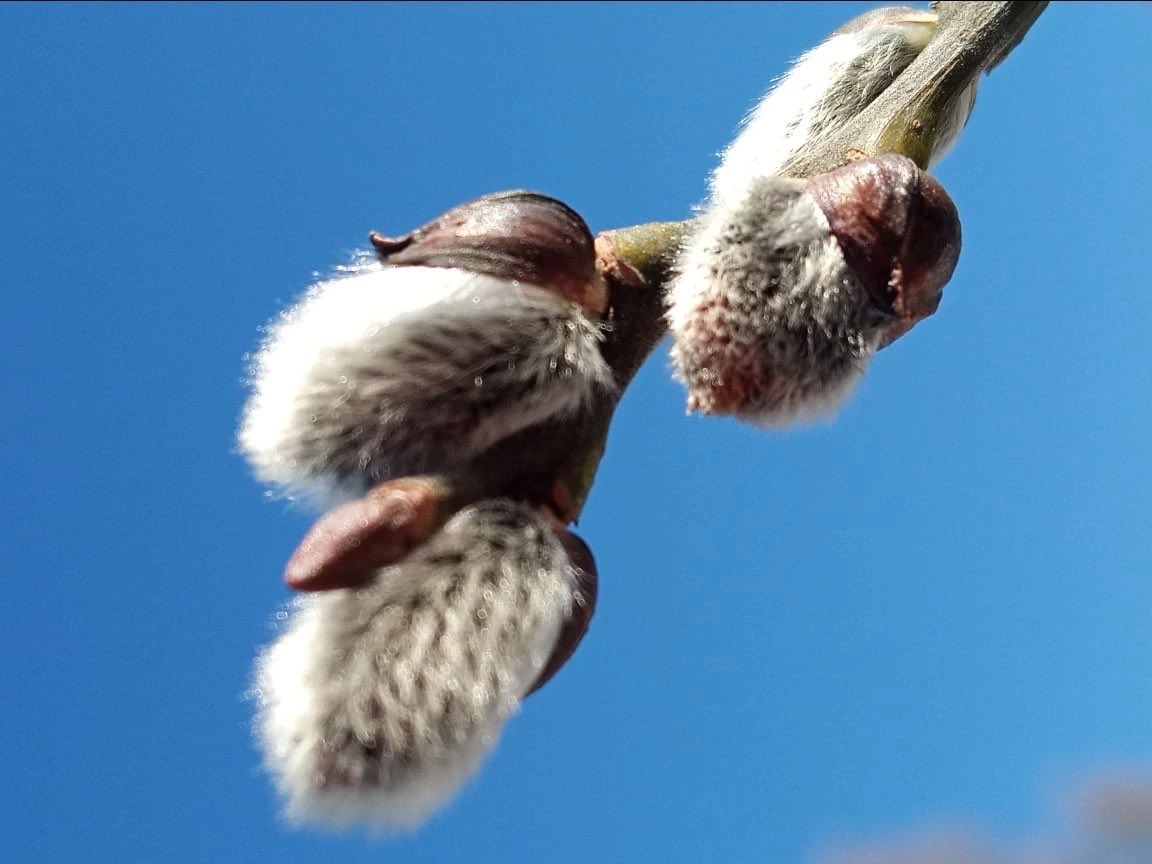 Irina Sokolova (@irina76706901) on Twitter photo 