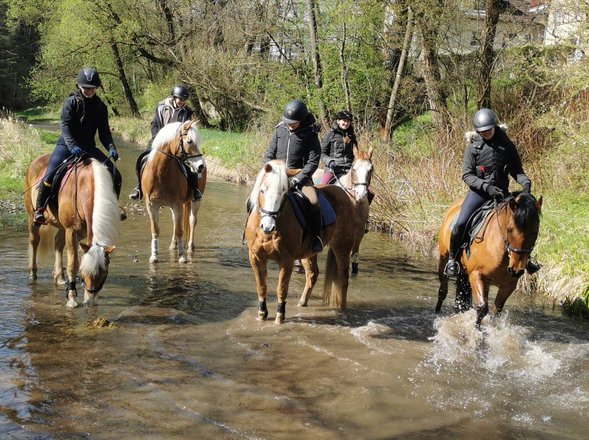Pferdeschule's tweet photo. Weiße Fahne bei unserem Wanderreitführer Kurs. Jetzt kann der Osterhase kommen! https://t.co/0PBLa4PfXG