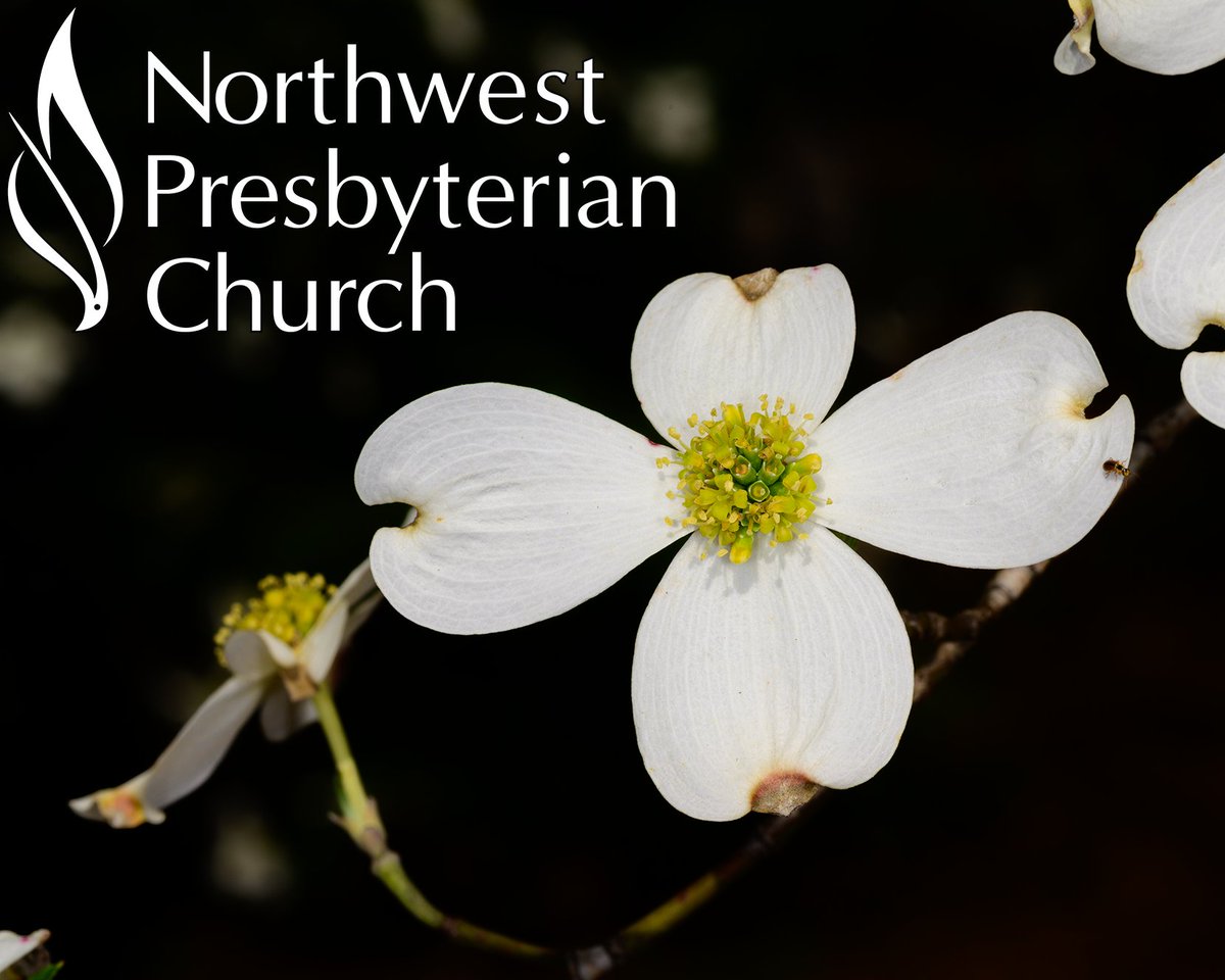 NWPCAtlanta's tweet photo. https://t.co/vjES6ZVskK
This week at Northwest:
Sunday School—9:15am
In-Person and on Zoom

Sunday Worship—10:30am
In person &amp; on YouTube

Easter Egg Hunt Immediately after Worship

9:30am Wednesday—Women’s Bible Study &amp; Men’s Bible Study
In-Person and on Zoom https://t.co/3fZ1rKOkVk