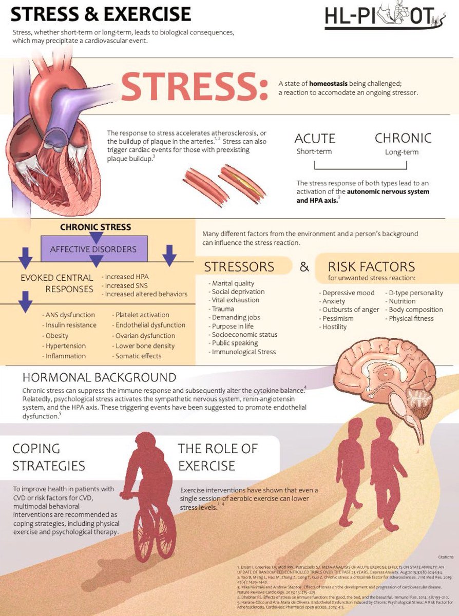ChristophBurch's tweet photo. The impact of stress on CVD risk and the role of exercise as a coping strategy…
https://t.co/CRJSoowWV1 https://t.co/YO8vvud6c1