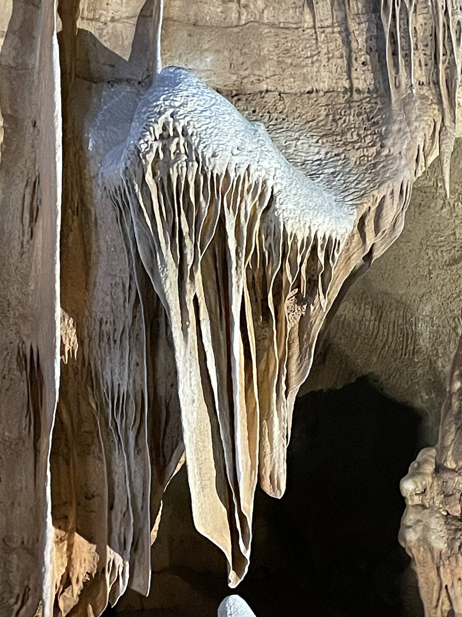 tweetingonthird's tweet photo. Third grade had  field trips to @cavewithoutname this week!! https://t.co/BbsPheqTys