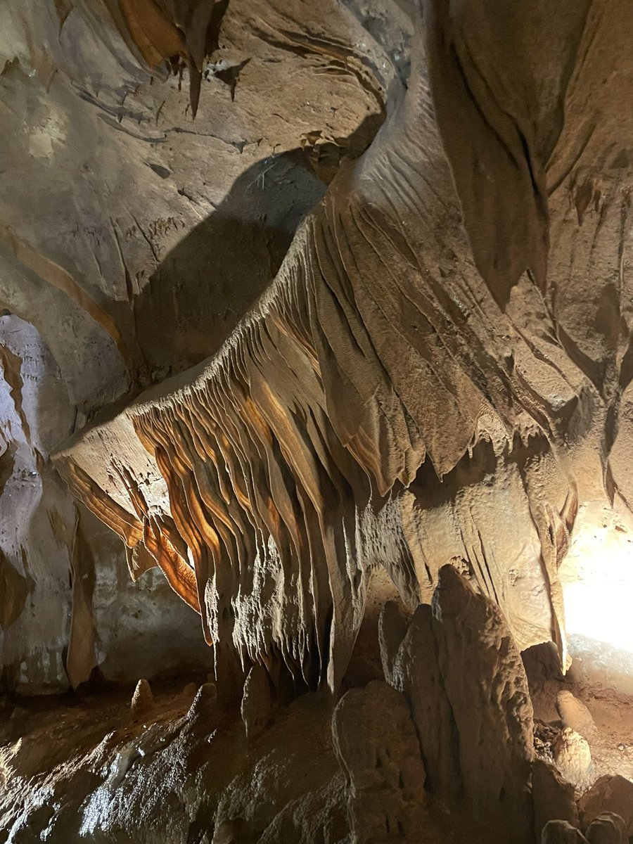 tweetingonthird's tweet photo. Third grade had  field trips to @cavewithoutname this week!! https://t.co/BbsPheqTys