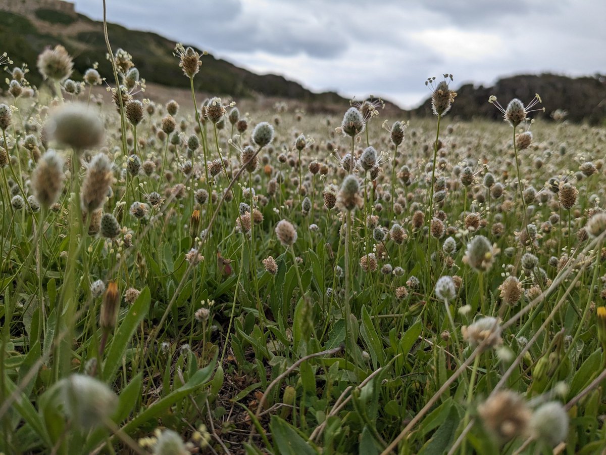 ZoëSimmons tweet media