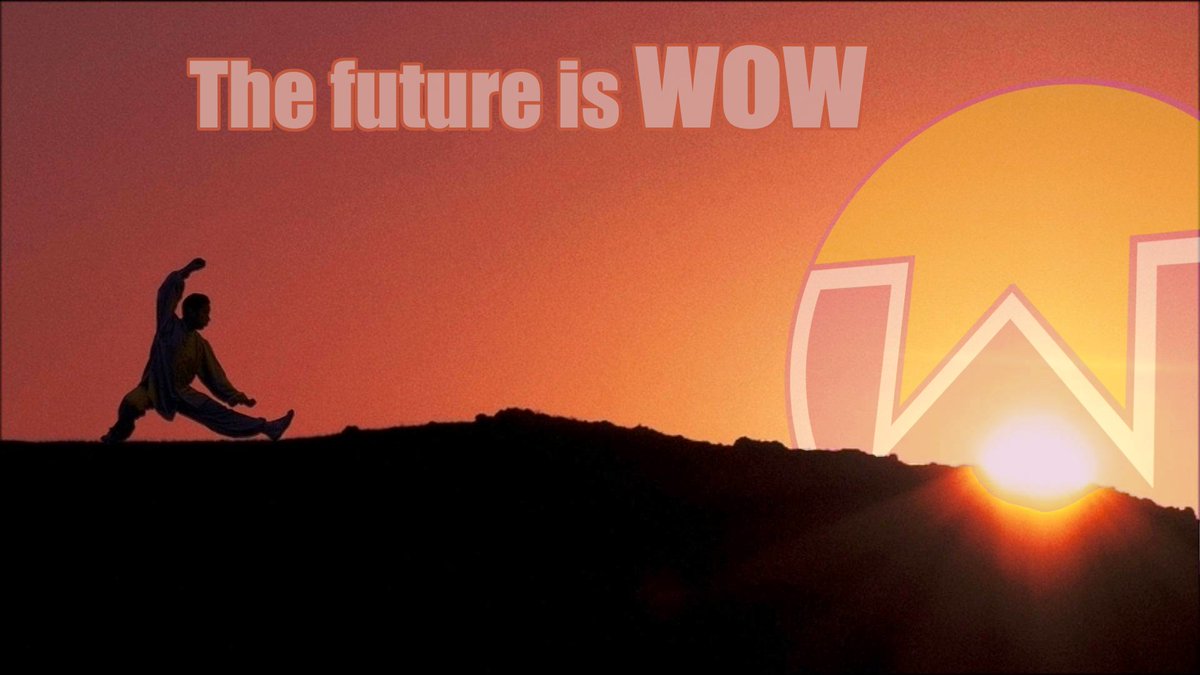 Nacho_Monster_'s tweet photo. @cakewallet You know what they say: The future is WOW https://t.co/Pc7KpJmAEx