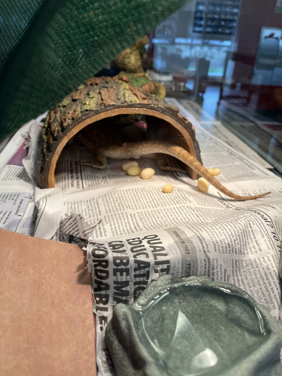 Kelly McNeary tweet media