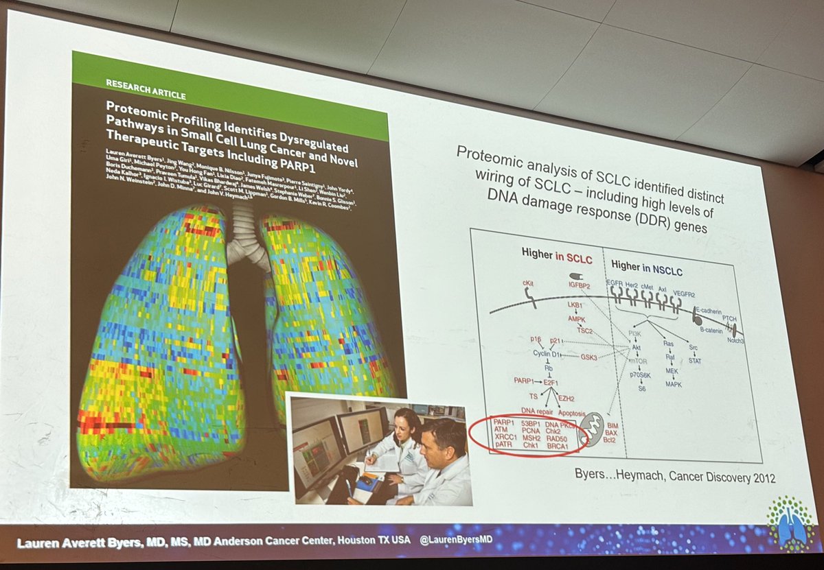 StephenVLiu's tweet photo. At #SCLC23 where Dr. @LaurenByersMD gives a wonderful overview of DNA Damage Response (DDR) inhibitors in #SCLC. PARP inhibitors continue to show promise. Is #SLFN11 the biomarker that brings these drugs to routine use? Expect results from S1929 at #ASCO23 https://t.co/5vCIzNoi18