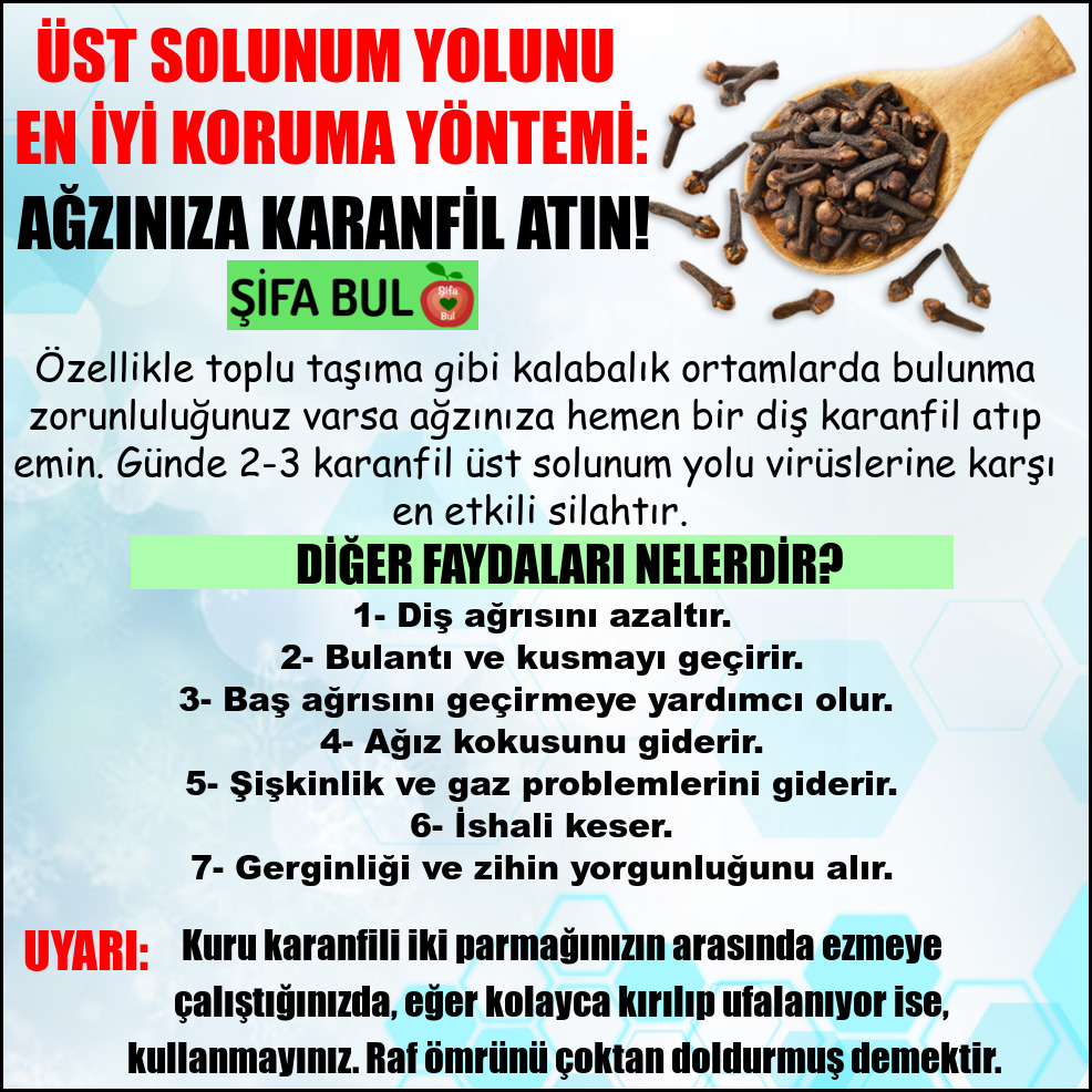 SifaBul's tweet photo. ÜST SOLUNUM YOLUNU EN İYİ KORUMA YÖNTEMİ: AĞZINIZA KARANFİL ATIN! #şifabul

Özellikle toplu taşıma gibi kalabalık ortamlarda bulunma zorunluluğunuz varsa ağzınıza hemen bir diş karanfil atıp emin. Günde 2-3 karanfil üst solunum yolu virüslerine karşı en etkili silahtır. https://t.co/6KJ3dvFBhP