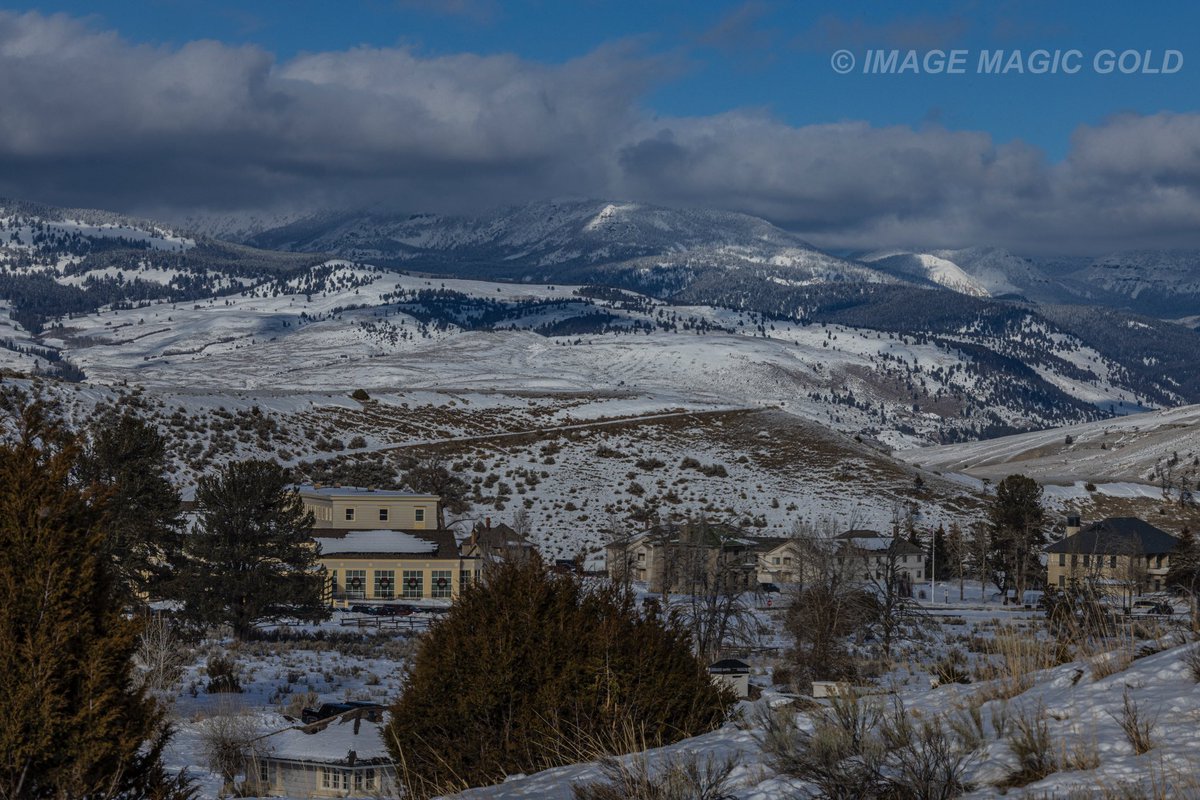 Capt. Cris tweet media