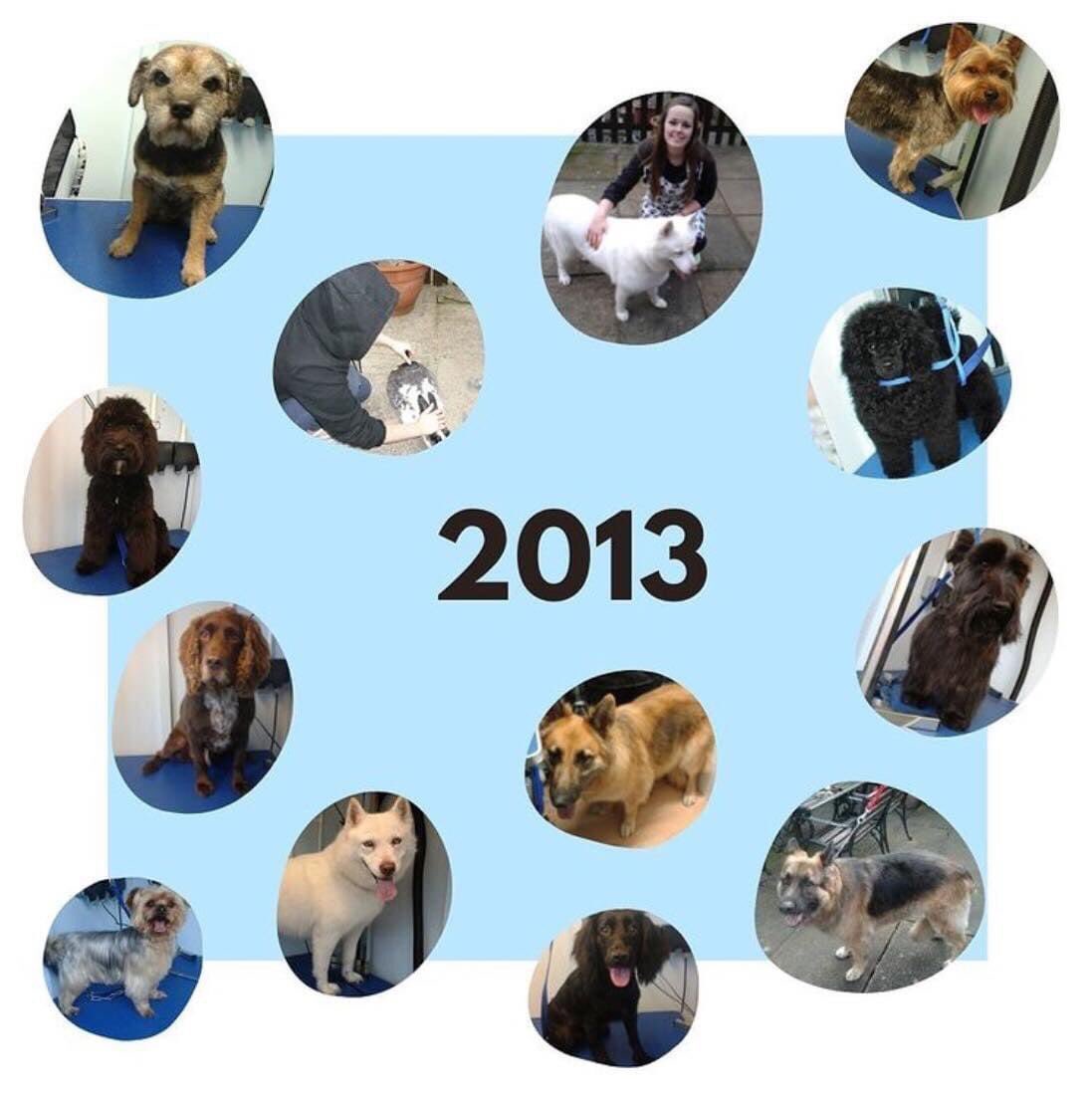 Dashing_Dogs's tweet photo. ~ 2013 ~
“I opened Dashing Dogs in 2013, at 17 years old and set to work on building up my little business”
#dashingdogs #alfreton #alfretontown #derbyshire #dog #dogs #groom #groomer #grooming #doggroomer #doggrooming #smallbusiness #localbusiness #onetoone #selfemployed #2013 https://t.co/7aKAWZR7L1