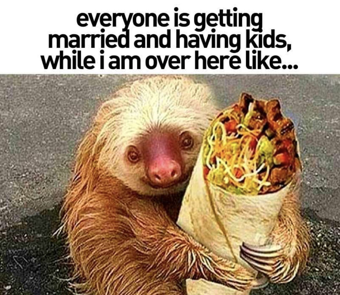 _amberyelding's tweet photo. @ChipotleTweets I been loyal 😭 can I have a code 🥹🌯 https://t.co/7bzmOlGQtD