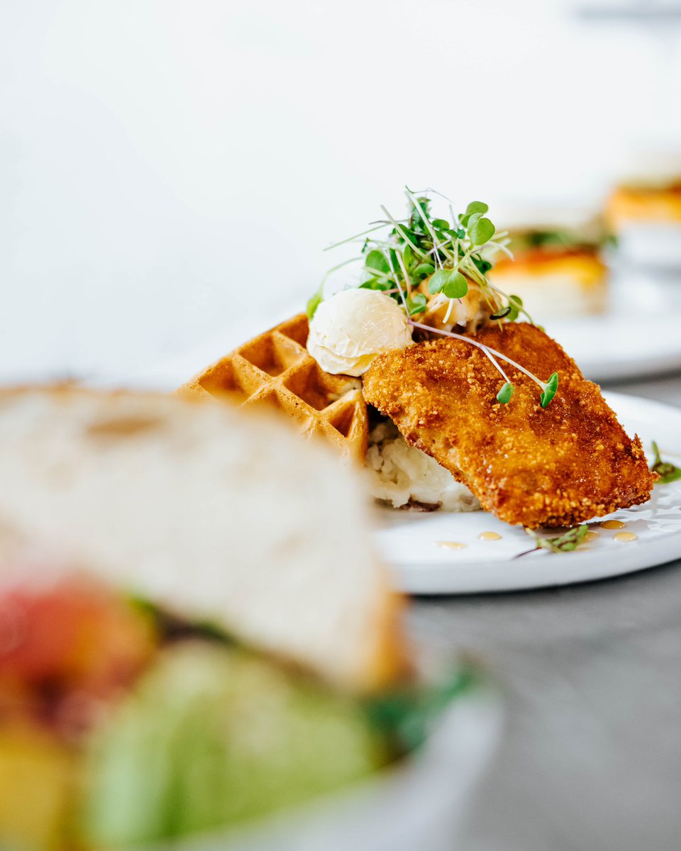 nakedcafe_'s tweet photo. Seitan’s Waffle looking all cute and innocent behind a High Noon Hash like 🥺😈 https://t.co/GCmDw9xM1b