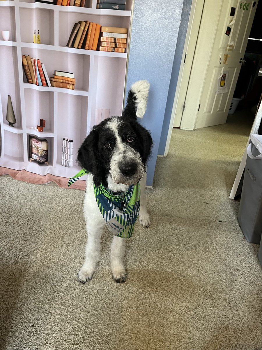 Sarahlynn Lester tweet media