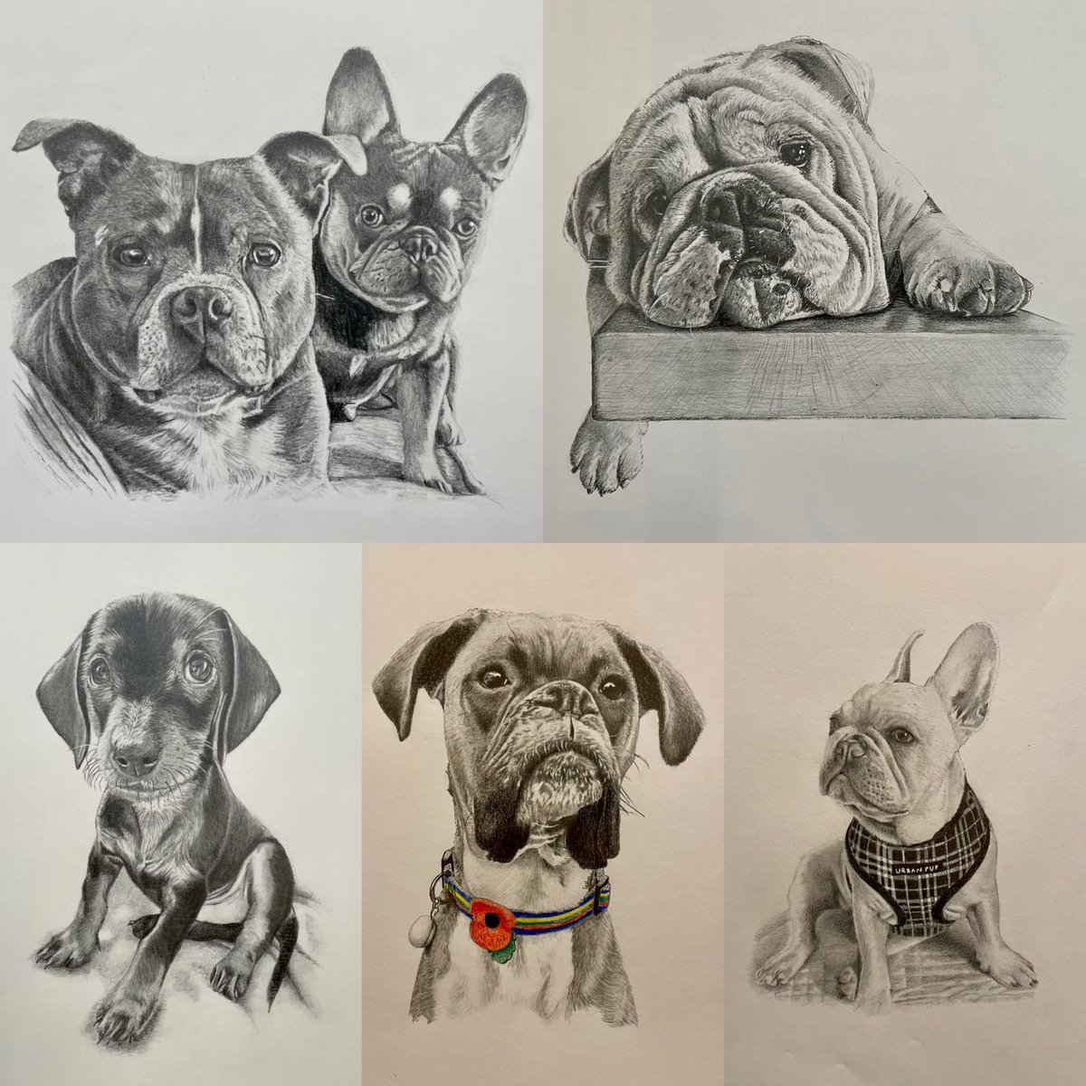 🌟🌟🌟FREE PET PORTRAIT🌟🌟🌟
Spring is in the air and it’s my fav season so I’m giving away a free pencil drawing of your pet 🥳 (any pet)

If you’d like a shot - like and RT this post and send me a photo! 
I’ll select my fav, draw it and send you it completely free!