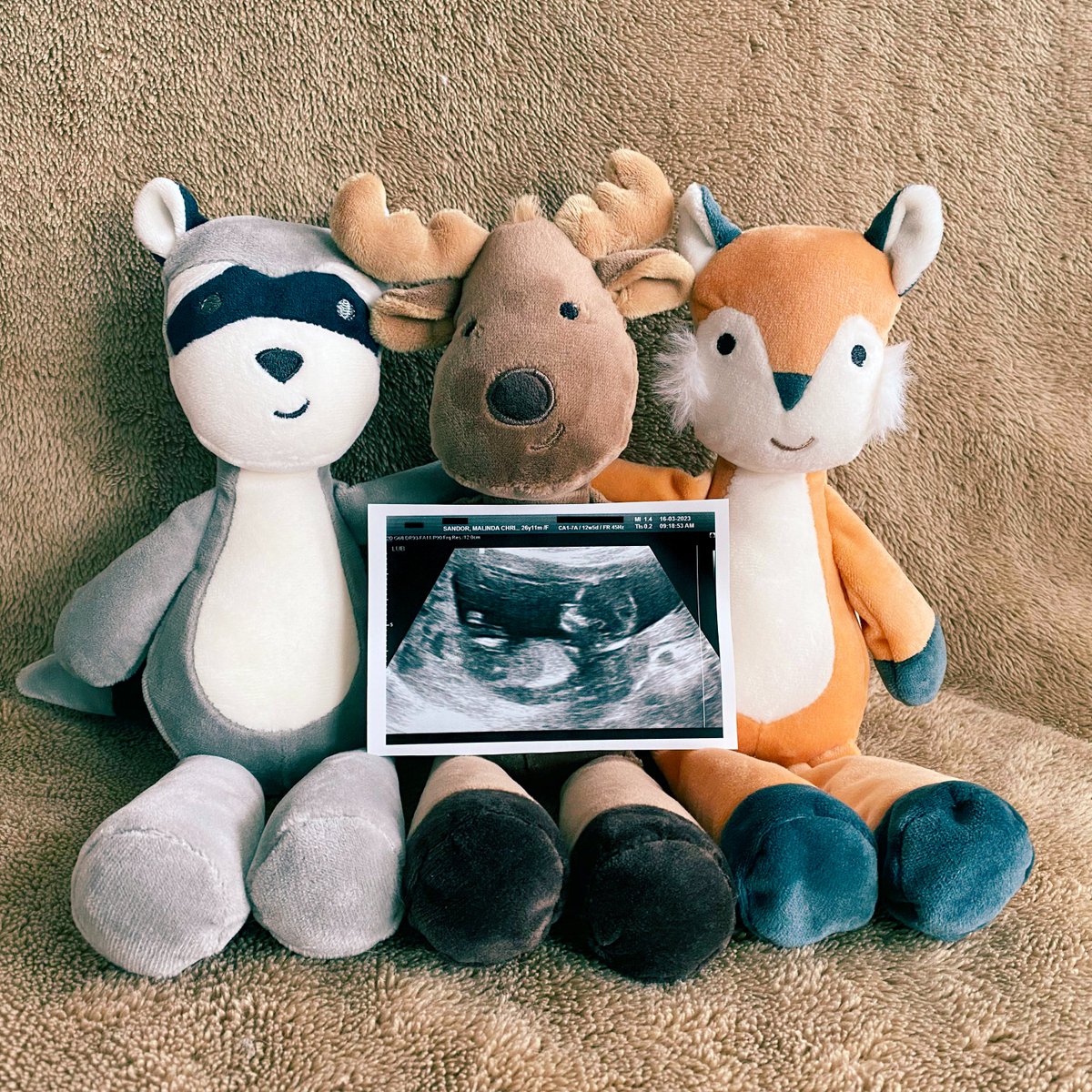 blamninja's tweet photo. Our next great adventure has begun! Baby Sandor arriving September 2023 🌈 https://t.co/lo4mgCDGe3