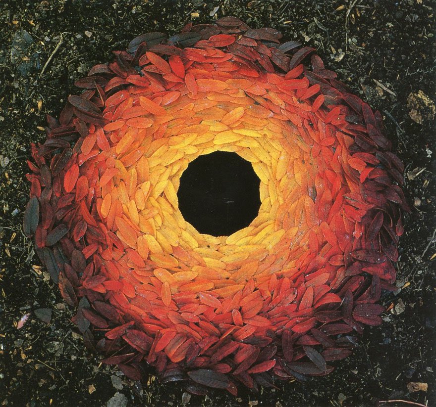 Andy Goldsworthy is an artist that produces site-specific sculptures and land art using natural materials, ephemeral and transient because it returns back to nature . Here are some sycamore leaves around tree roots and Sumach leaves art 📸Andy Goldsworthy