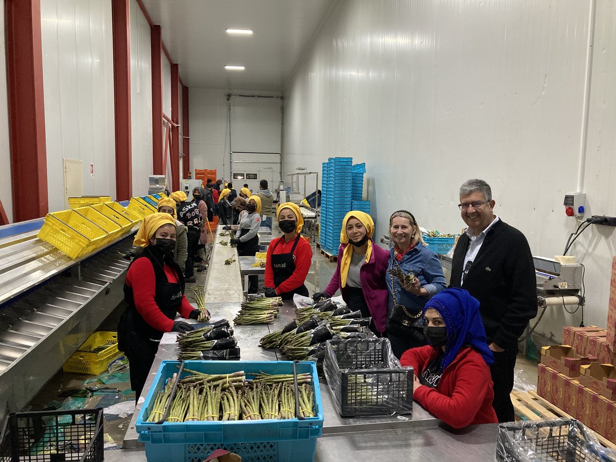osmanD71311080's tweet photo. Hırvatistan konsolosu Ivana Zerec’i Antalyadaki tesislerimizde ağırlamaktan gurur duyduk. Kendisine ülkemizdeki Kuşkonmaz tarımı hakkında bilgi verdik. #nomadtarım #Spargatarım #fonbulucu #limgroup https://t.co/gK4409x11Q