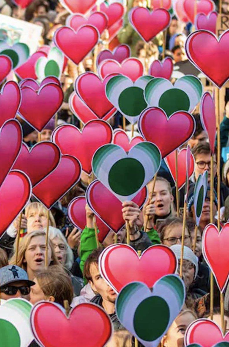 The Only Animal tweet media