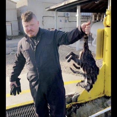 BrendanThurlow's tweet photo. #NewProfilePic https://t.co/P0mH9NFLfz