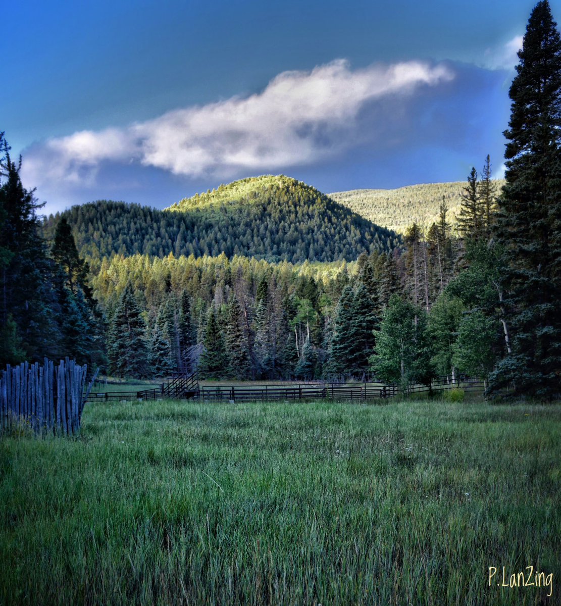 PLanzing's tweet photo. A Nuevo Mexico Morning… https://t.co/zPka5HbZem