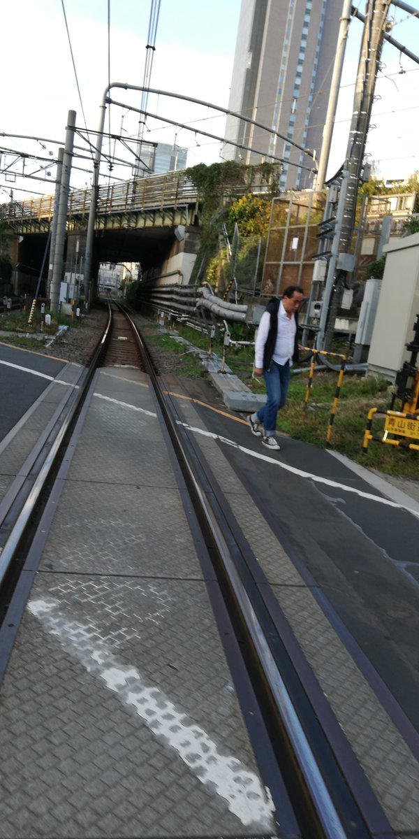 Just an ordinary crossing in Kawaguchi #EverydayBeauty #JapanTravel #TravelPhotography #CityLife #UrbanExploration