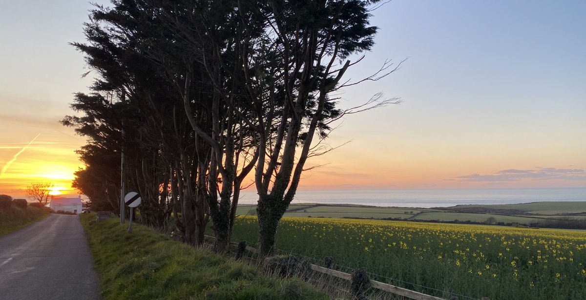 mikip555's tweet photo. A glorious sunset in Pembrokeshire this evening #Mathry https://t.co/TOdkgUgshZ