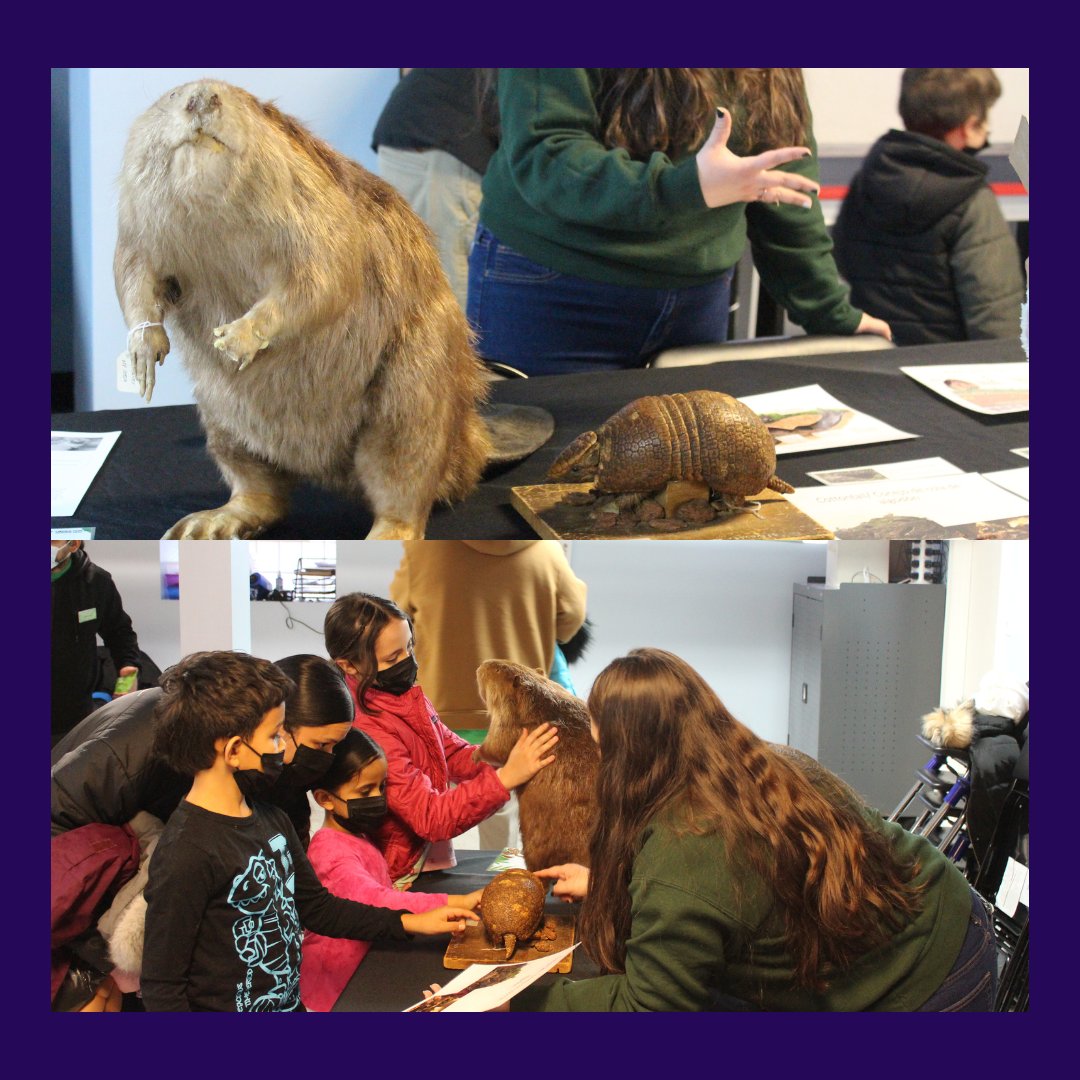 eriehouse's tweet photo. Last month, our community partners, OPEN Center for the Arts and Lincoln Park Zoo, came together at Erie House to hold a Burrowing Animals Artecito! We are so happy we were able to host such a fun and creative event.
#Community #BurrowingAnimals #ChildrenLearning #Chicago https://t.co/ax9HEUwzWP