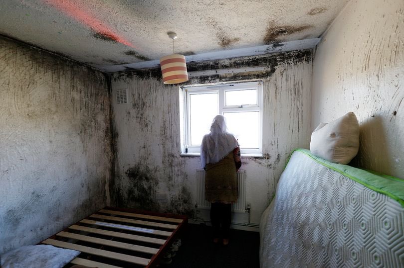 Visited a family who have been living in temporary accommodation in Newham since 2018. The family of 7 all sleep in one room on blow-up beds and sofas because black mould has infested every single room upstairs and is terrifying their kids, who think their house is cursed.