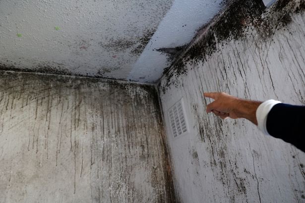 RubyLGregory's tweet image. Visited a family who have been living in temporary accommodation in Newham since 2018.
The family of 7 all sleep in one room on blow-up beds and sofas because black mould has infested every single room upstairs and is terrifying their kids, who think their house is cursed.