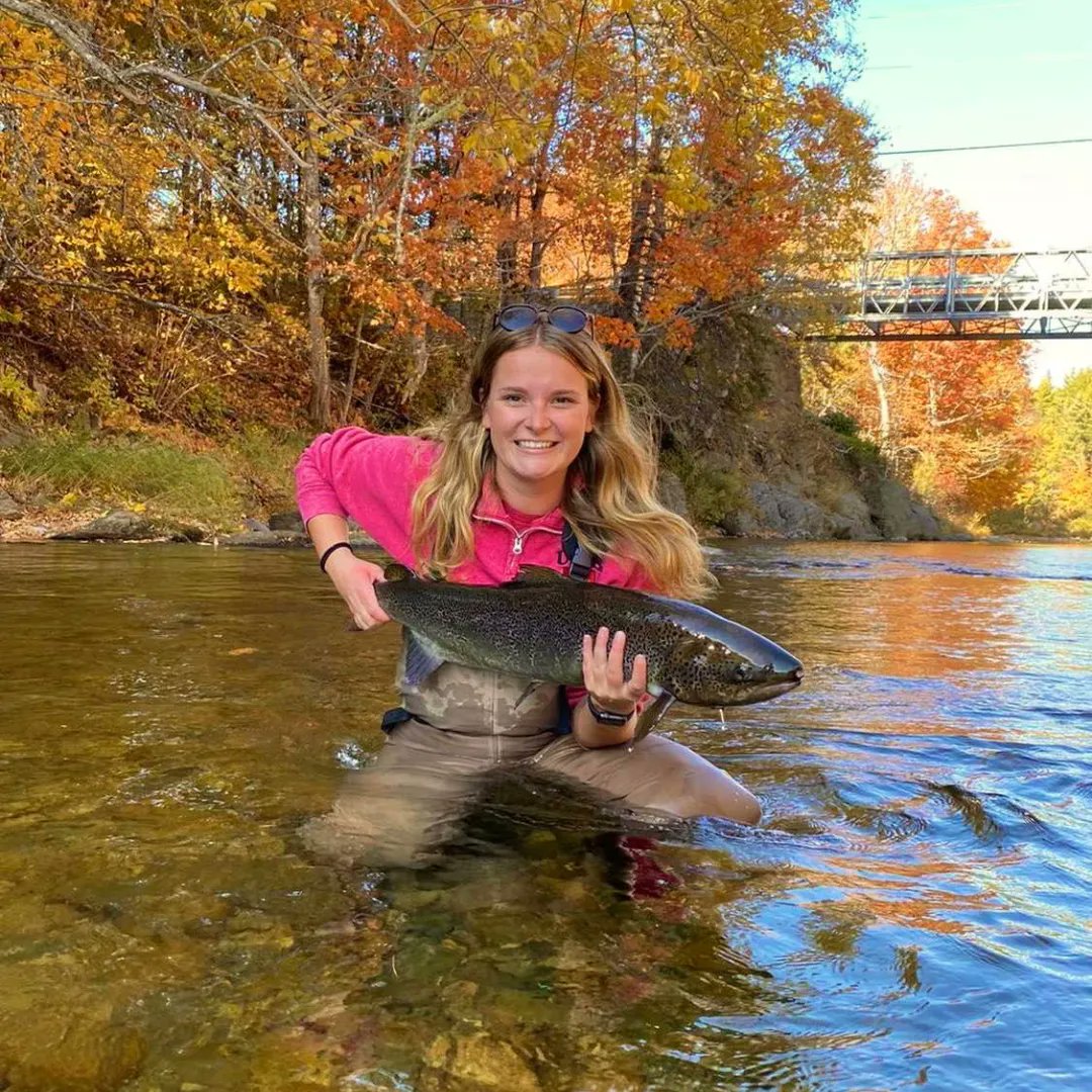 Clean Foundation on Twitter "Advance your organization’s clean economy