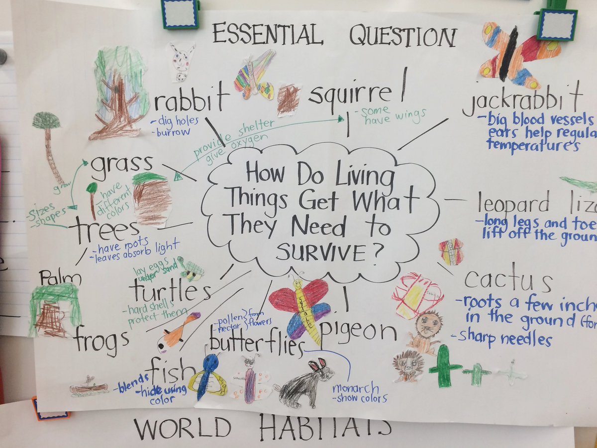 SystemsSchools's tweet photo. Taking systems maps to the next level! 🚀

#primaryed 
#systemsthinking101 
#systemsthinkingschools 
#systemsthinkingapproach https://t.co/awppXFctIm