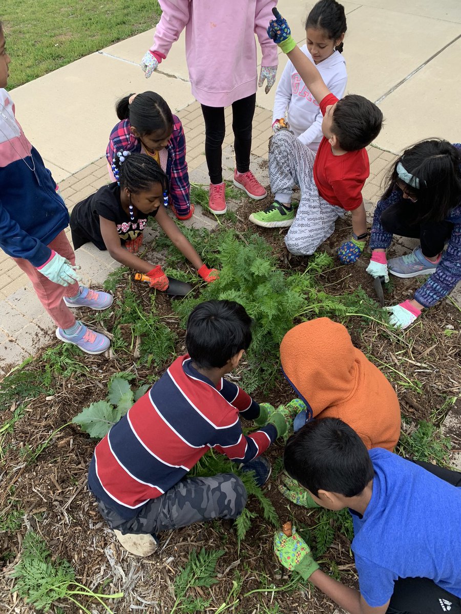 Mrs. Danker (Alberse) tweet media