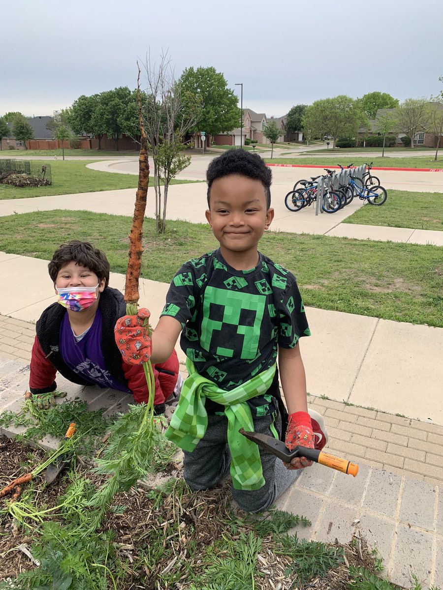 Mrs. Danker (Alberse) tweet media