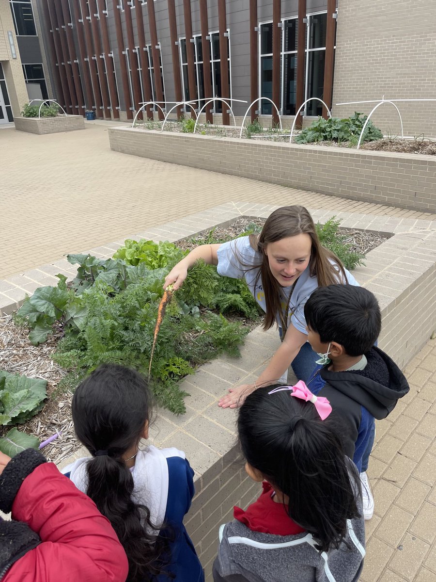 Mrs. Danker (Alberse) tweet media