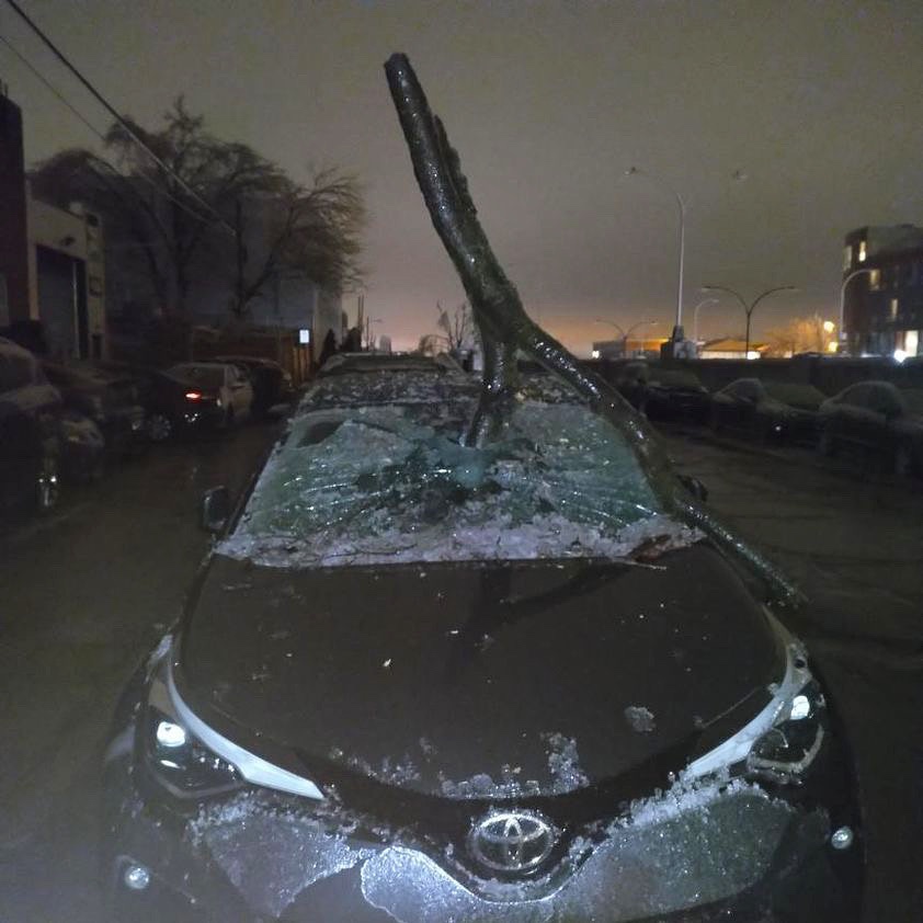 FNoMTL's tweet photo. Final Destination 3: Revenge of the Trees https://t.co/Tbg1ryLGGO