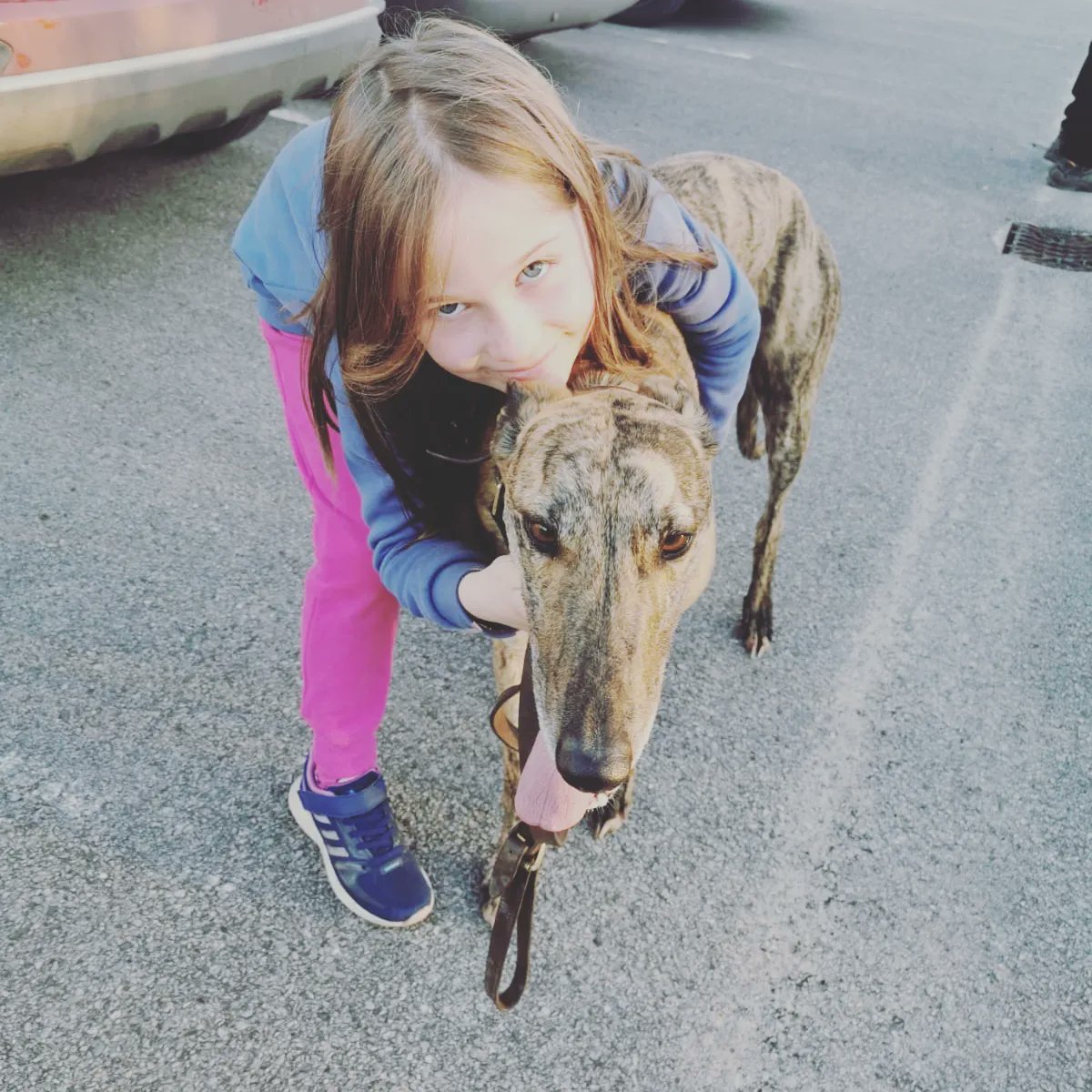 Siobhan Scanlon tweet media