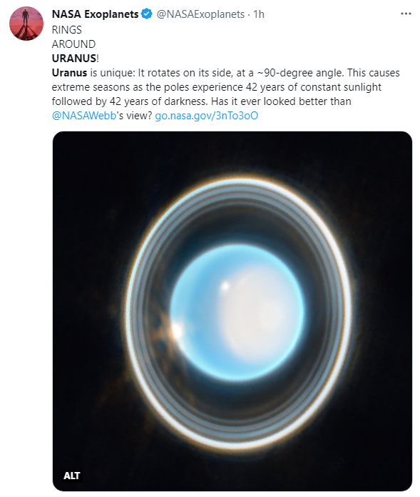 Nïck Brown🌻 on Twitter: 